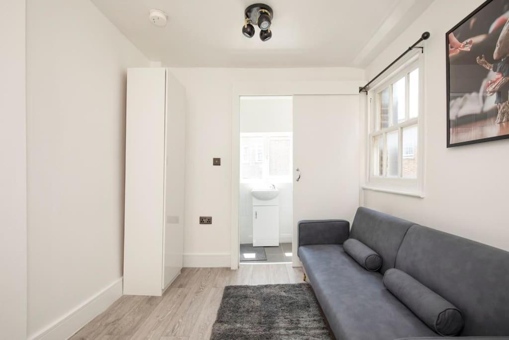 Spacious Serenity In The Heart Of Central Londra Exterior foto